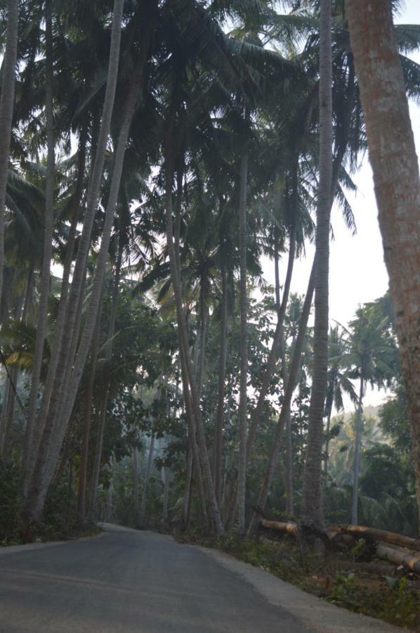 Nyuh Gading Bungalow Nusa Penida Sakti ภายนอก รูปภาพ